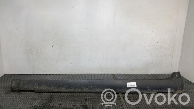 Citroen C4 Cactus Listón 