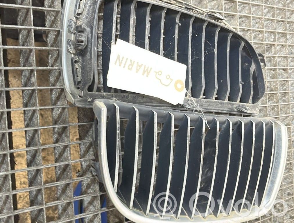 Front grill   51137120009
