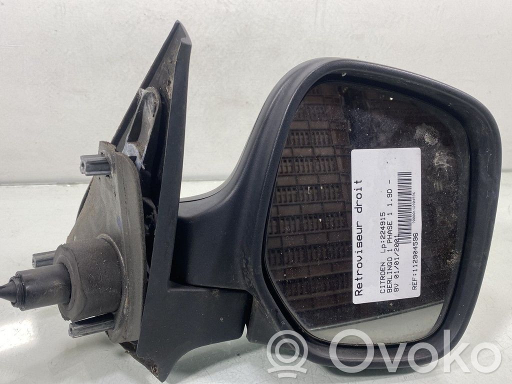 Citroen Berlingo Manual wing mirror 