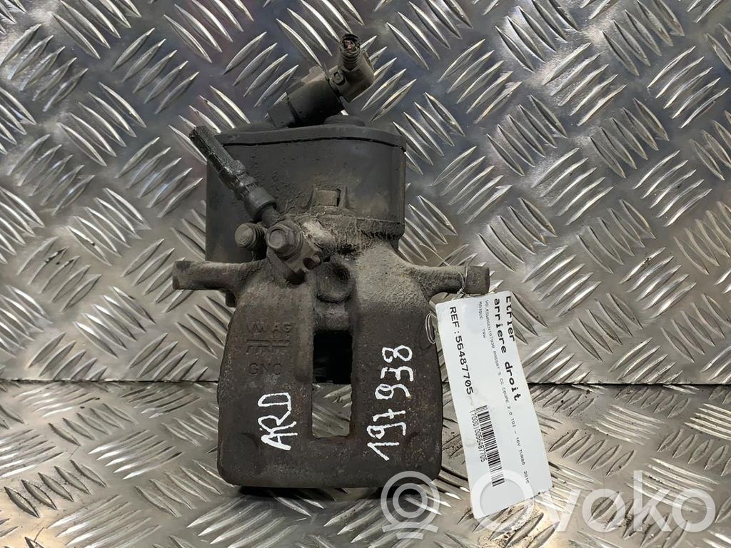 Takajarrusatula   5N0615404
