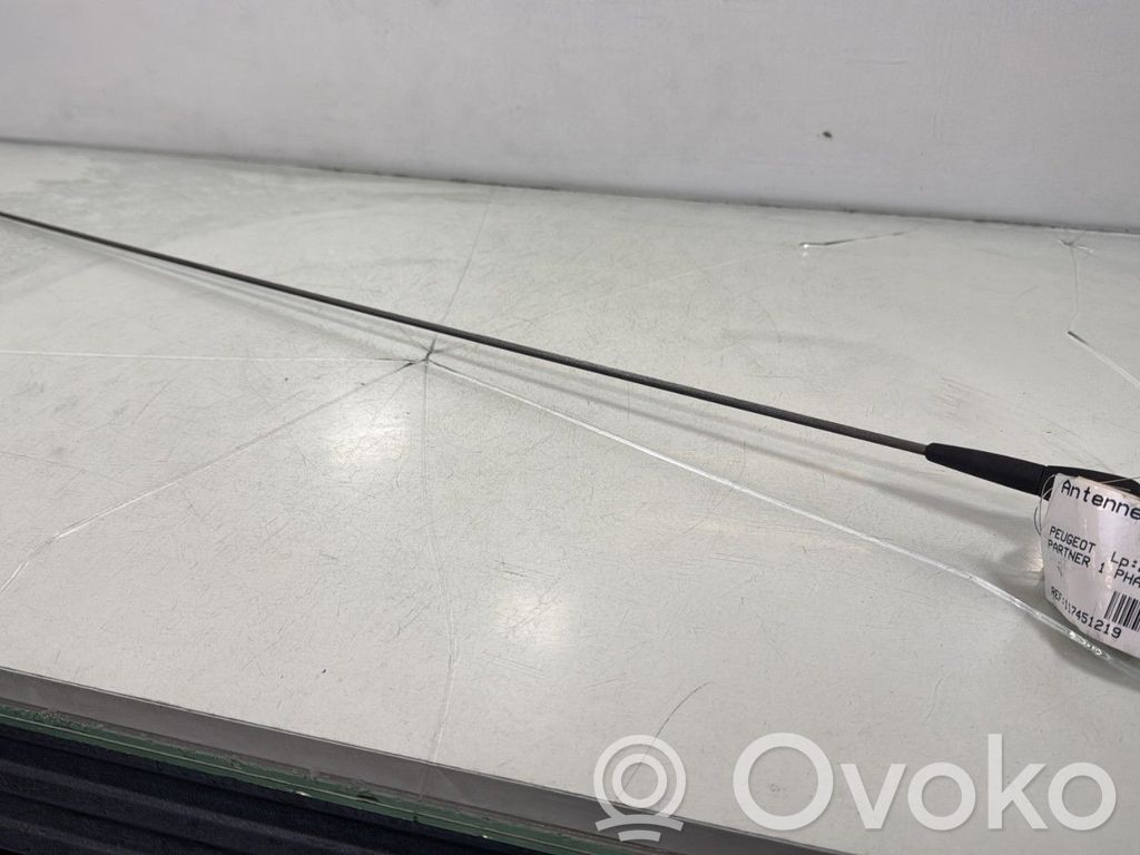 Radion antenni   656143