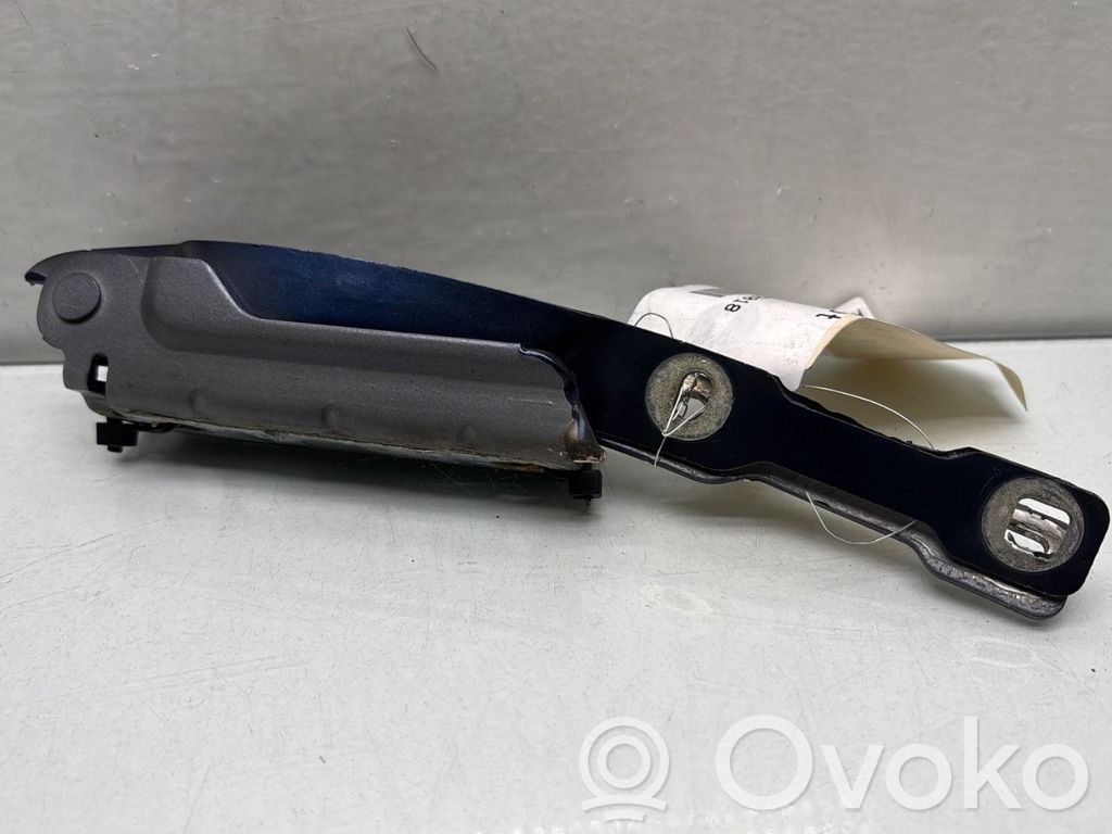 Charnière, capot moteur   654013159R