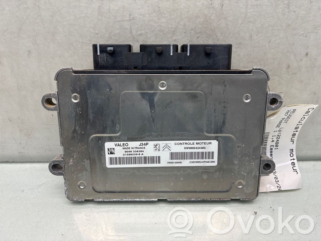 Peugeot 207 Engine control unit/module 