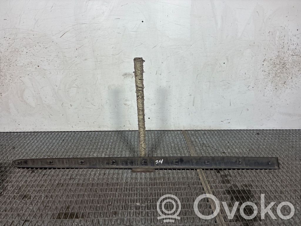Peugeot 206 Rivestimento della portiera anteriore (modanatura)