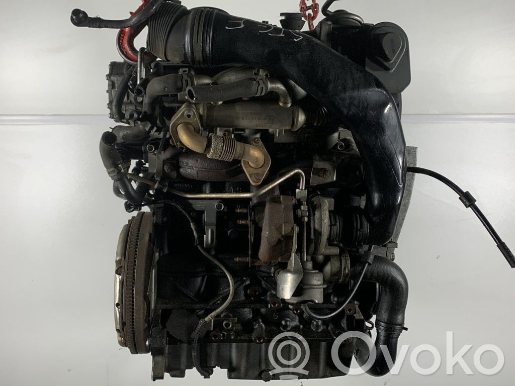 Motor