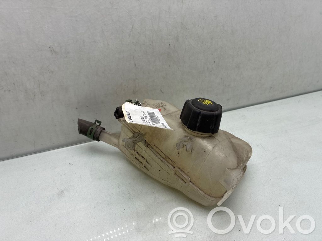 Renault Scenic III - Grand scenic III Serbatoio di compensazione del liquido refrigerante/coperchio