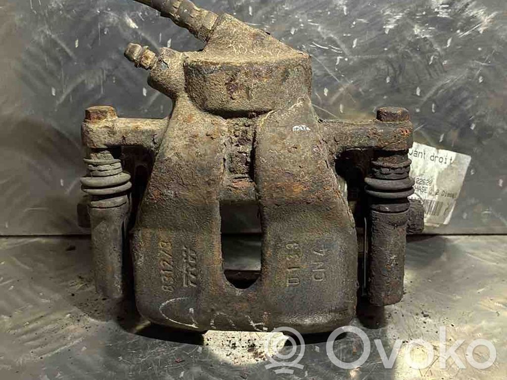 Etujarrusatula   MR370776