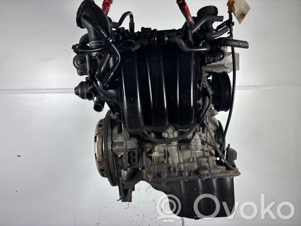 Volkswagen Polo V 6R Motore