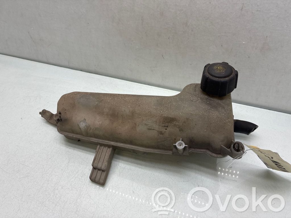Renault Clio II Coolant expansion tank/reservoir cap