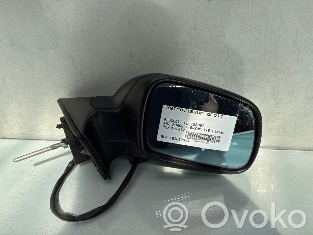 Peugeot 407 Oglindă exterioară manuală