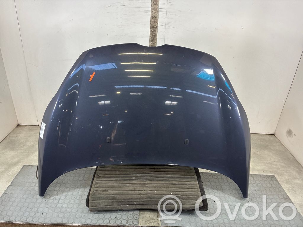 Ford Fiesta Motorhaube