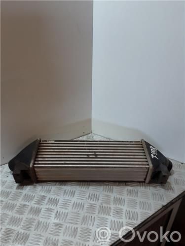 Intercooler radiator