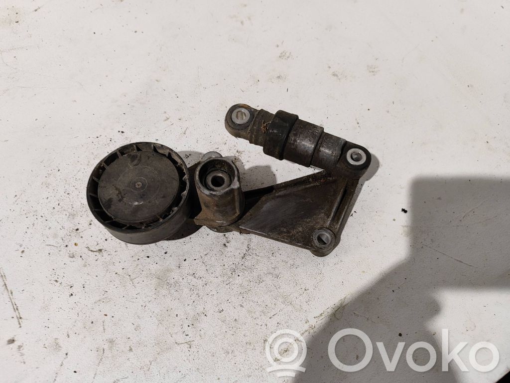 BMW 5 E39 Tensor de correa del alternador 