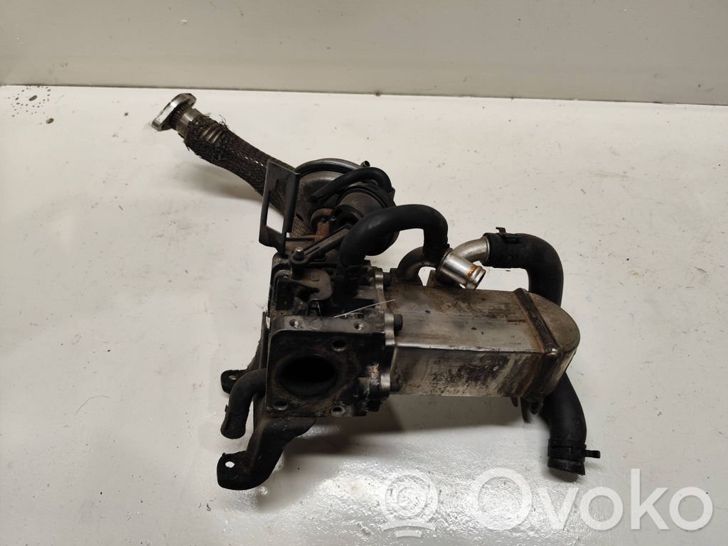 EGR dzesētājs   059131508G