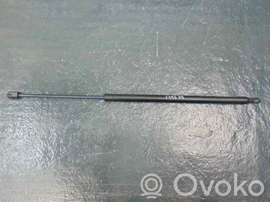 Tailgate/trunk strut/damper
