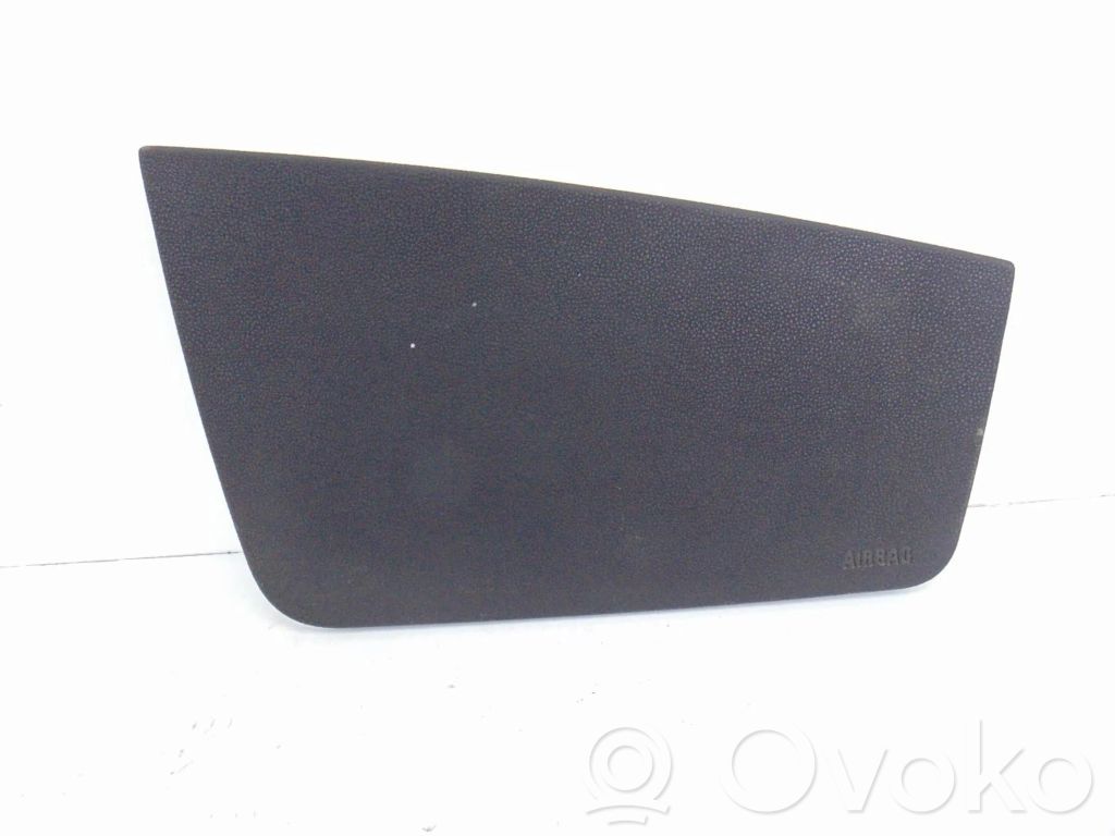Airbag de la puerta delantera