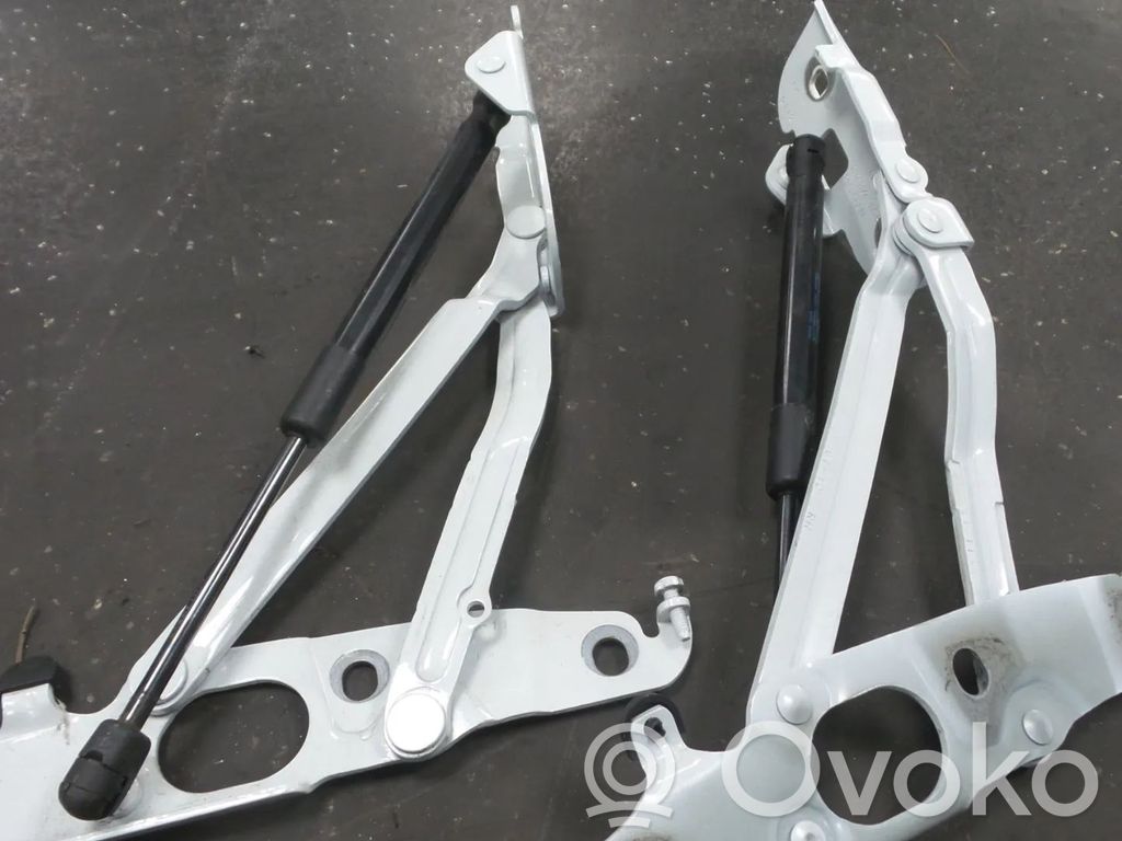 Tailgate/trunk/boot hinge   8J7827299F,8J7827300F