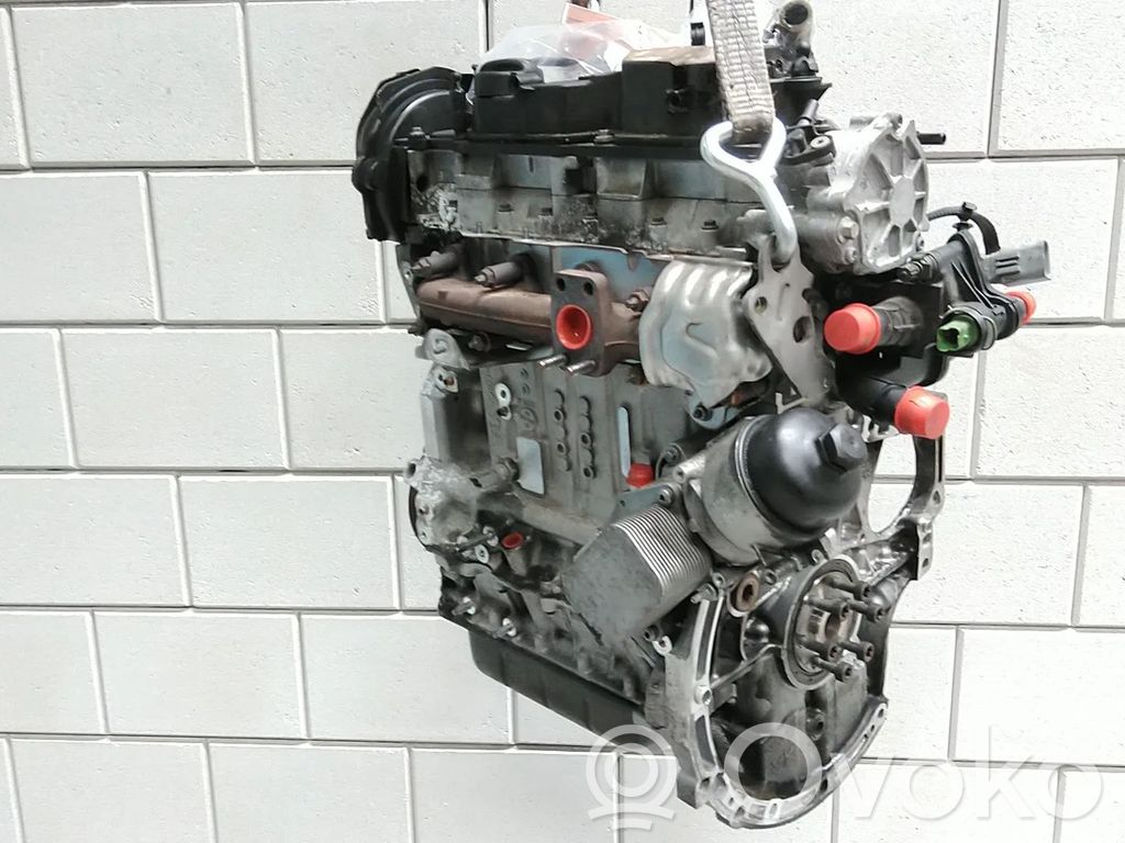Engine   0445010536,0445110489,1853559,1921104,2326768,CV6Q6006AB,CV6Q9A543AA,CV6Q9F593AA,NGDA,NGDB,RMCV6Q6006AA,RMCV6Q6006AB,T3CB,T3JA,T3JB,U3CA