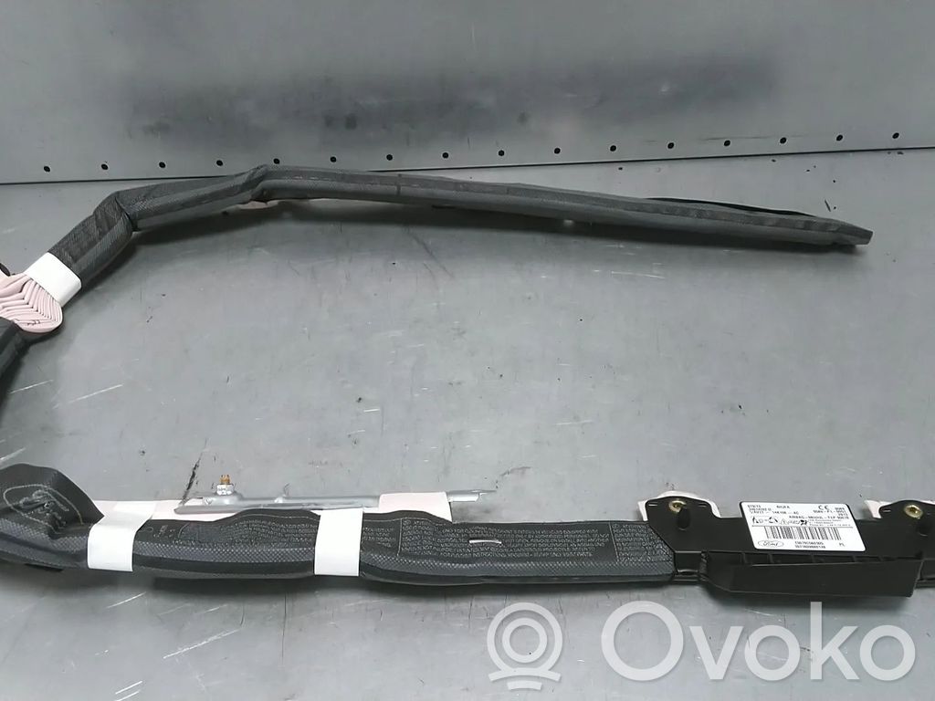 Ford B-MAX Airbag del techo 