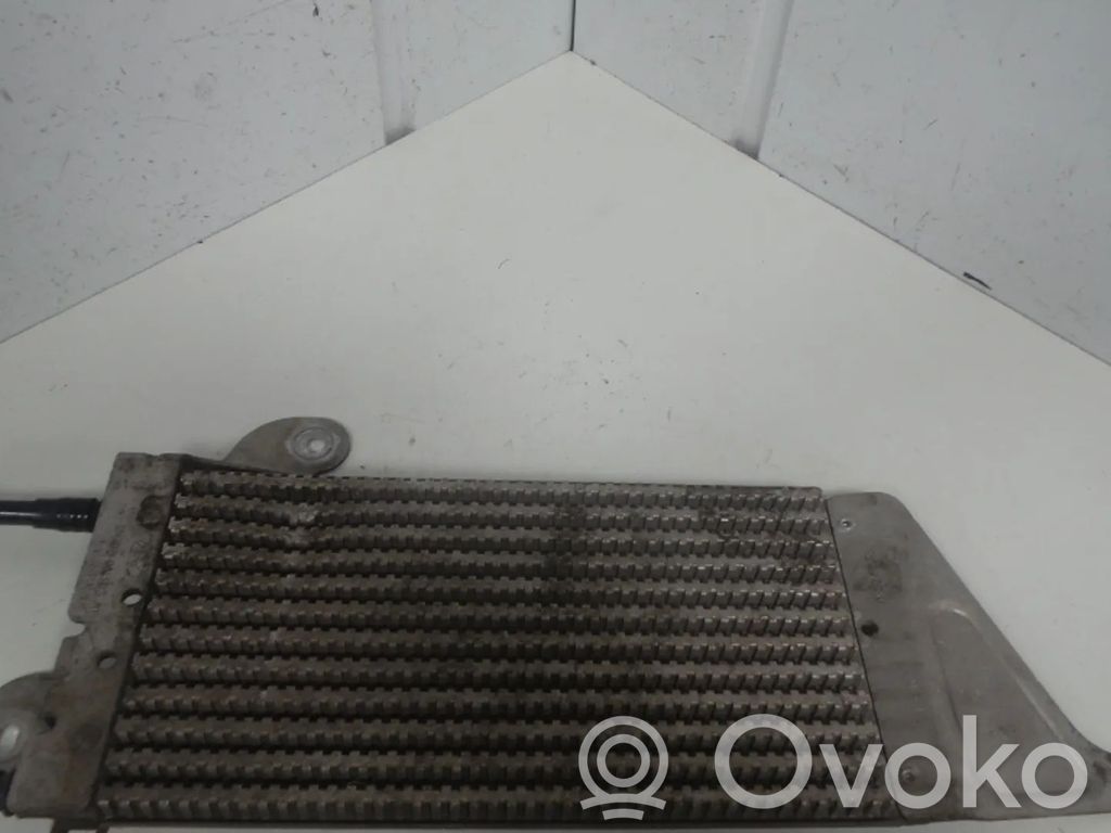 Ford Galaxy Degvielas dzesētājs (radiators) 