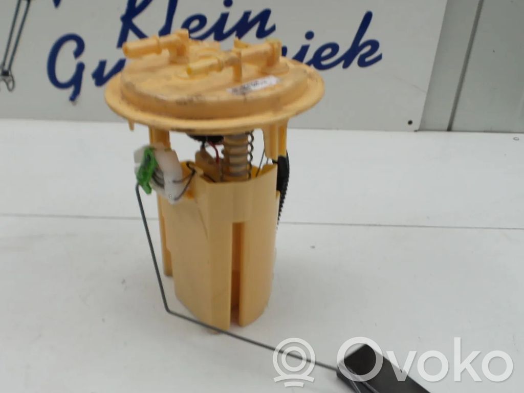 Citroen C5 In-tank fuel pump 