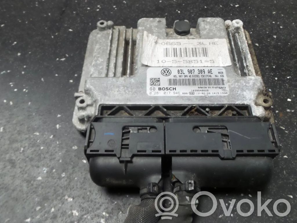 Engine control unit/module   03L907309AE,03L906018BF,CFFB