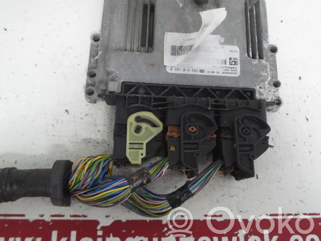 Ford Focus Engine control unit/module 