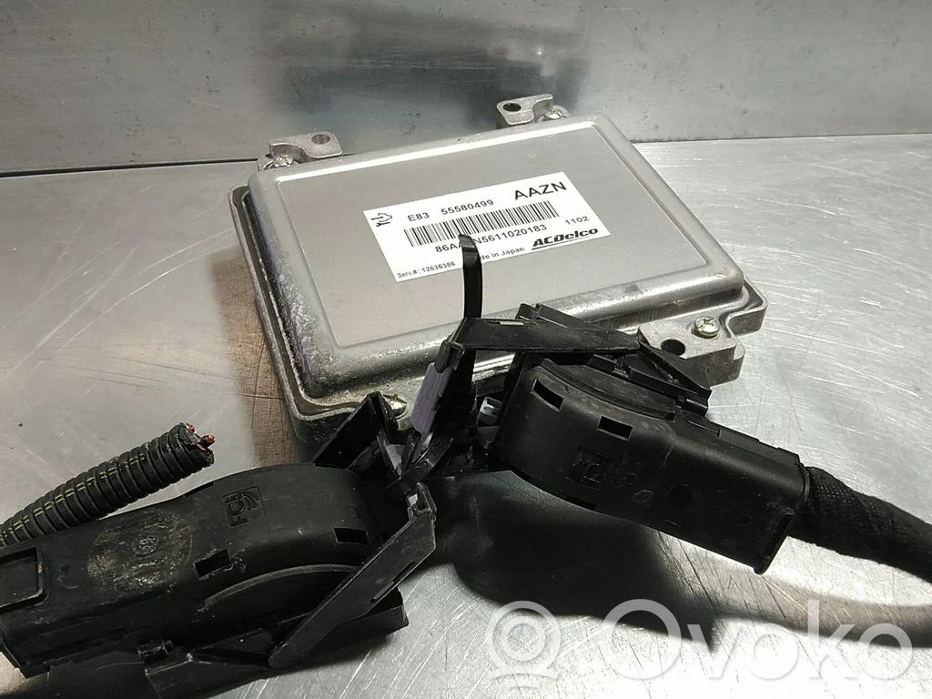 Engine control unit/module   55580499,1232380,1247061,1247248,12621466,12636386,12638732,12638807,12639891,12642927,12643754,12654172,12679199,55577841,A12XER