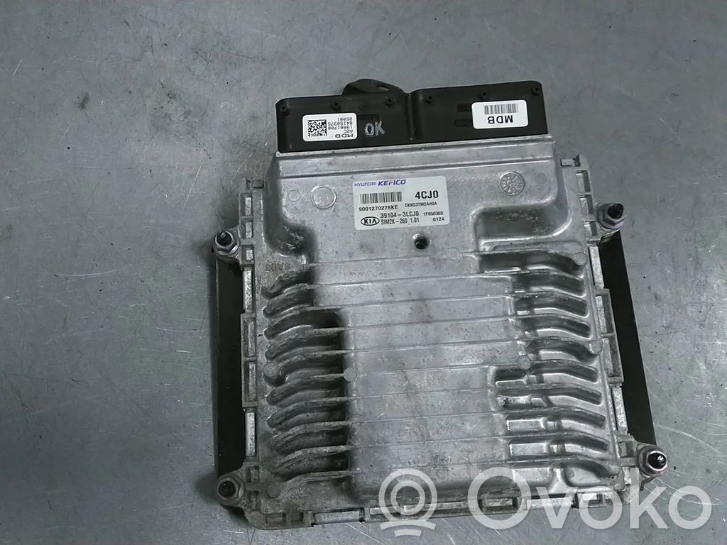 Engine control unit/module   391043LCJ0,G6DP