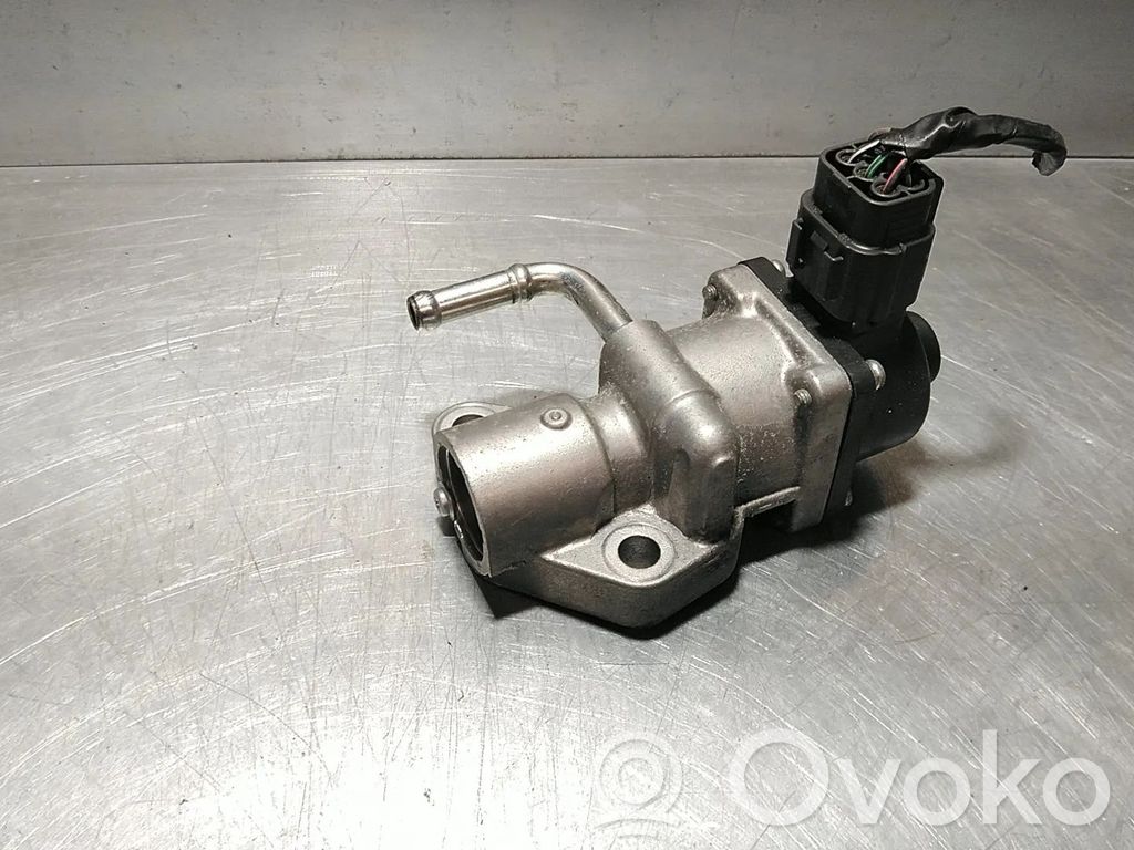 Ford Focus Válvula EGR 