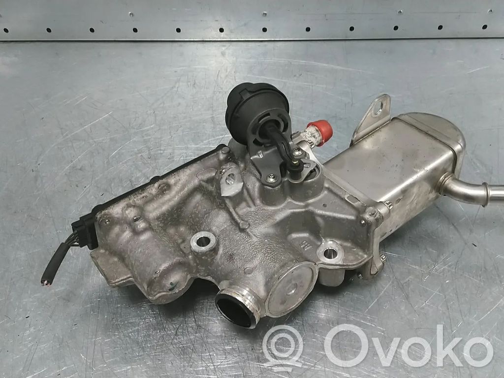 Renault Megane III Zawór EGR 