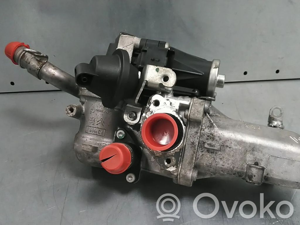 EGR vožtuvas   CV6Q9D475AA,1748918,NGDB