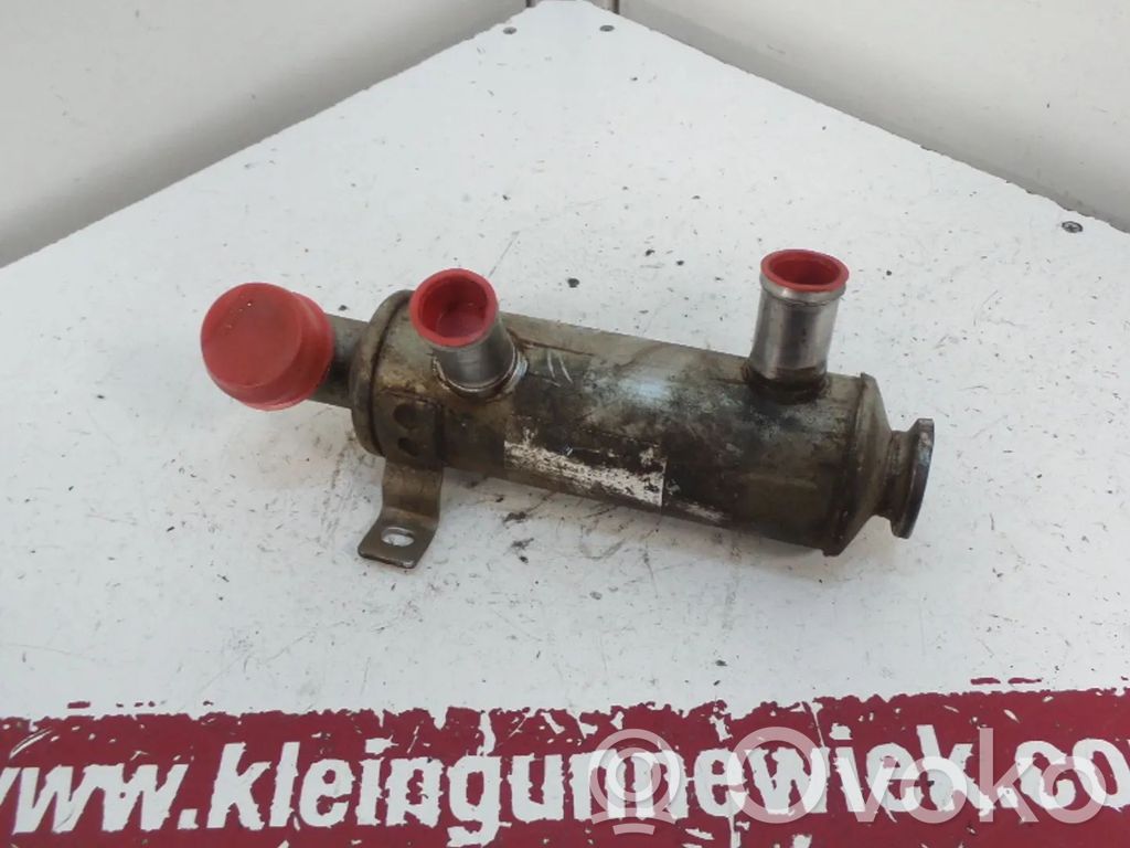 Peugeot Bipper EGR valve cooler 