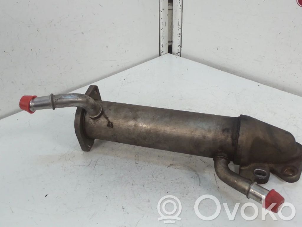 Ford Transit EGR aušintuvas 