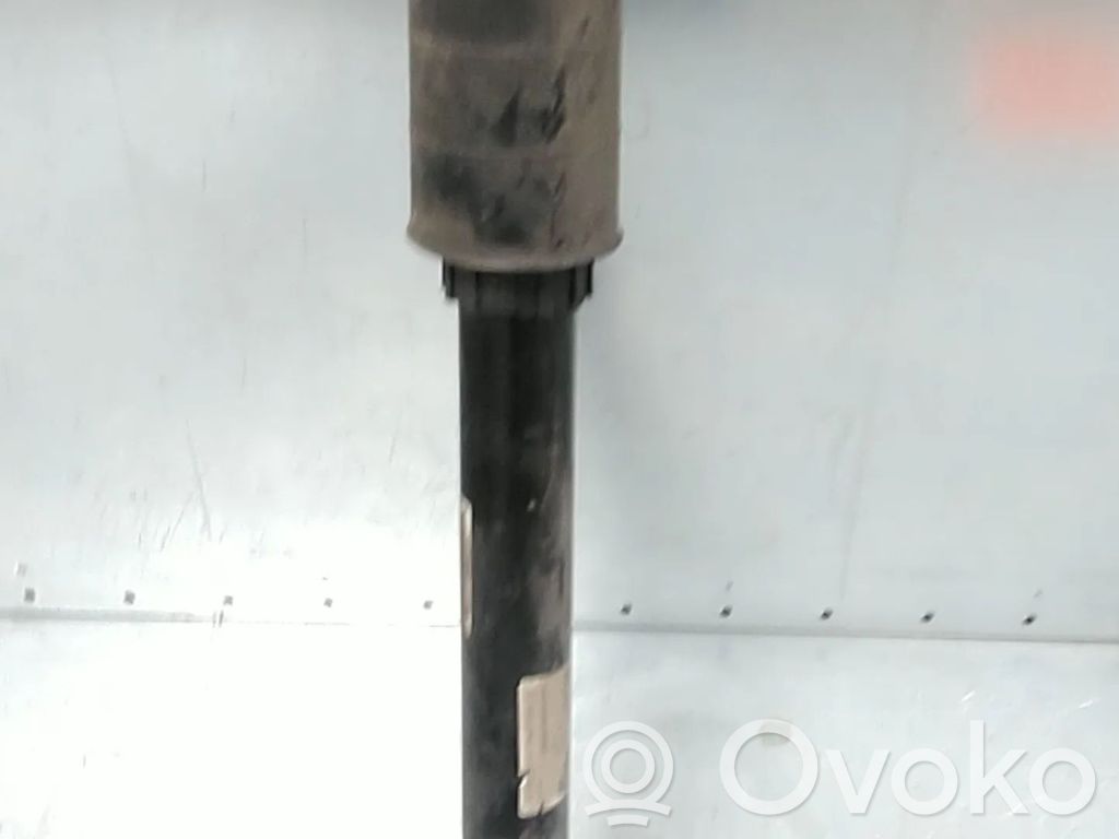 Audi A5 Amortizor spate 