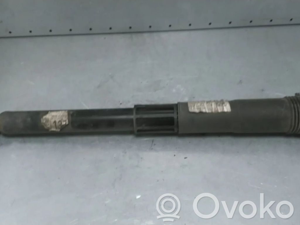 Volkswagen Tiguan Stoßdämpfer hinten 