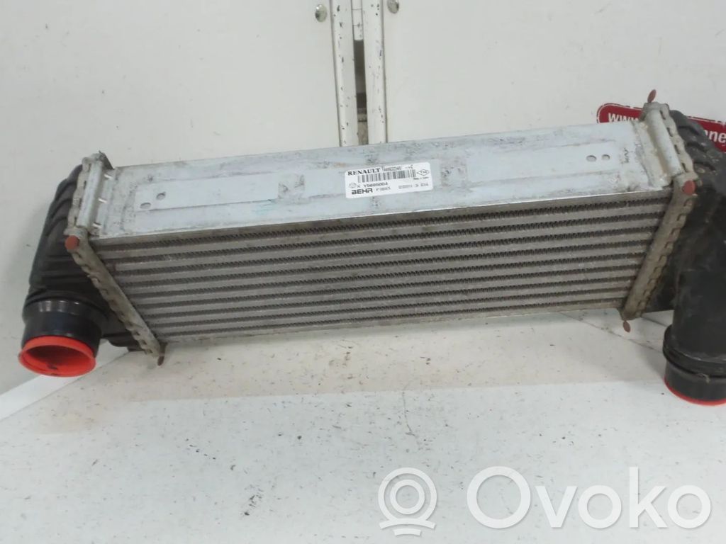 Renault Kangoo II Chłodnica powietrza doładowującego / Intercooler 