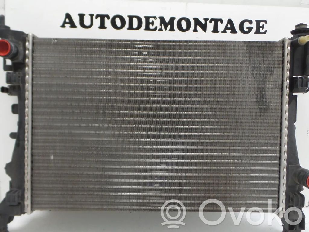 Coolant radiator   13399870,1300312,1300339,13249566