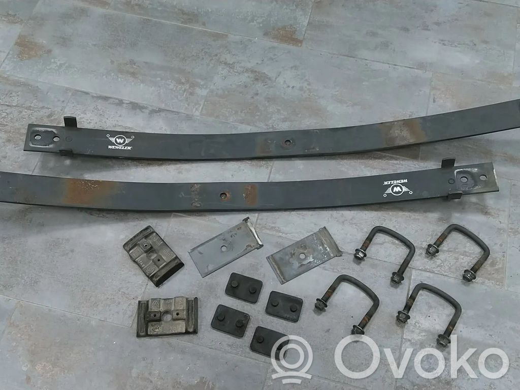 Galinė lingė   M9T708