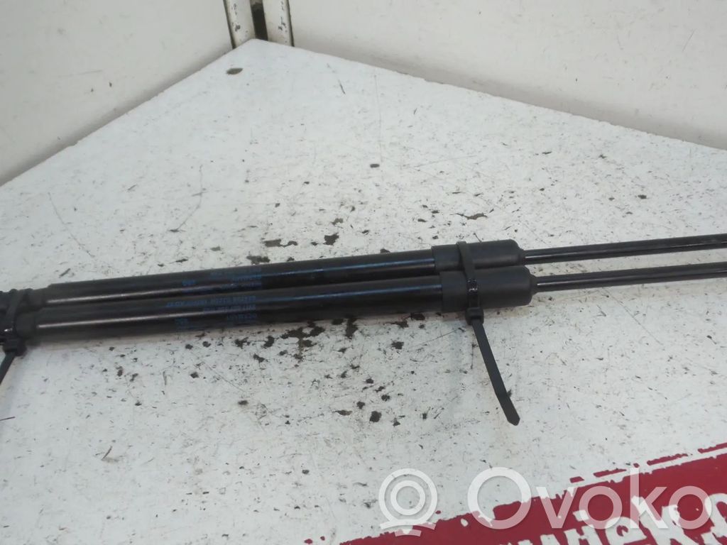 Audi A5 Amortyzator klapy tylnej bagażnika 