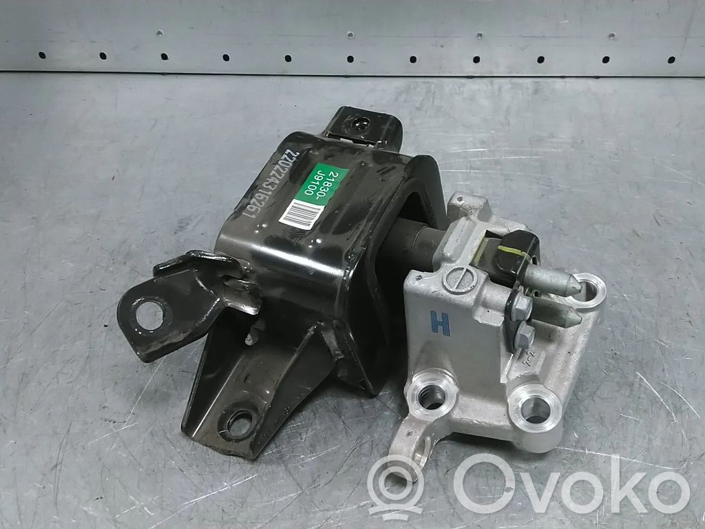 Hyundai Kona I Soporte de la caja de cambios 