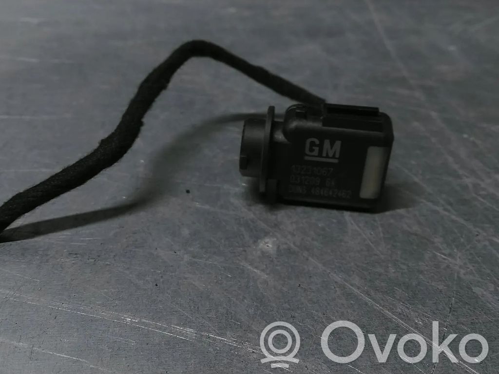Sensor   13231067