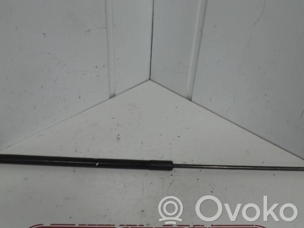 Volkswagen Touareg II Vérin, capot-moteur 
