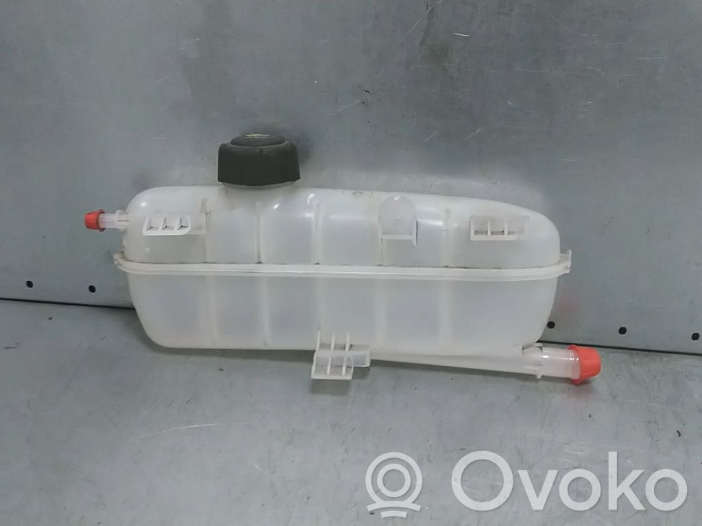 Renault Zoe Vas expansiune/rezervor lichid de răcire 