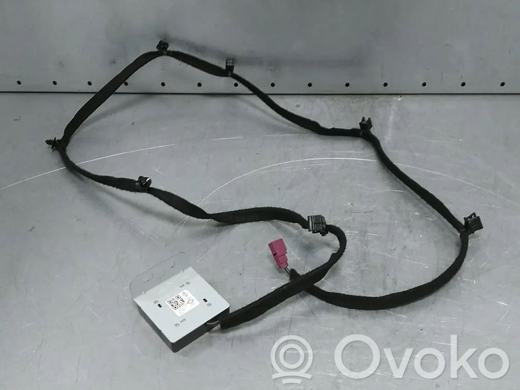 Radion antenni   282B80824R,282122604R
