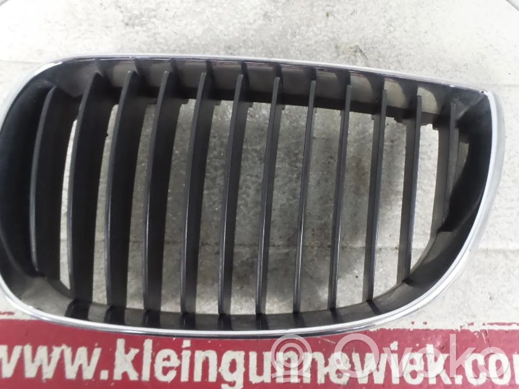 BMW 1 E81 E87 Oberes Gitter vorne 