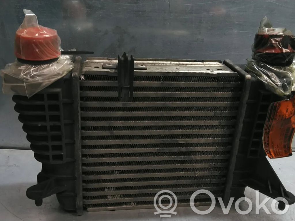 Intercooler radiator   8200471885