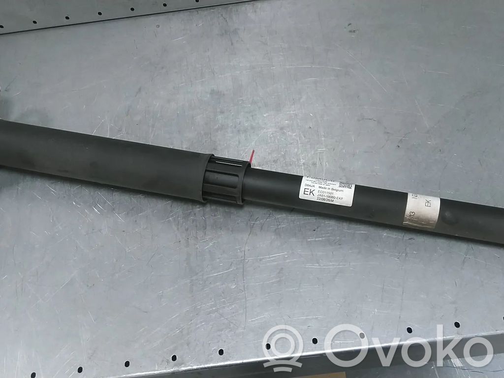 Ford Focus Rear shock absorber/damper 