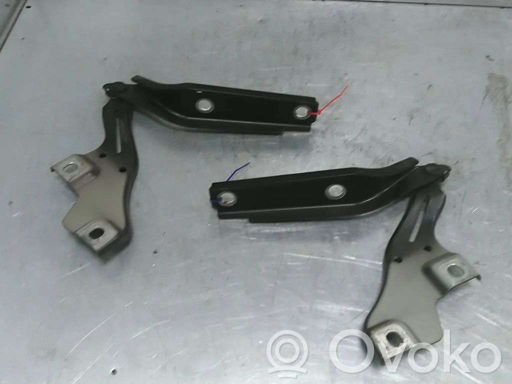 Volkswagen PASSAT B8 Cerniere del vano motore/cofano 