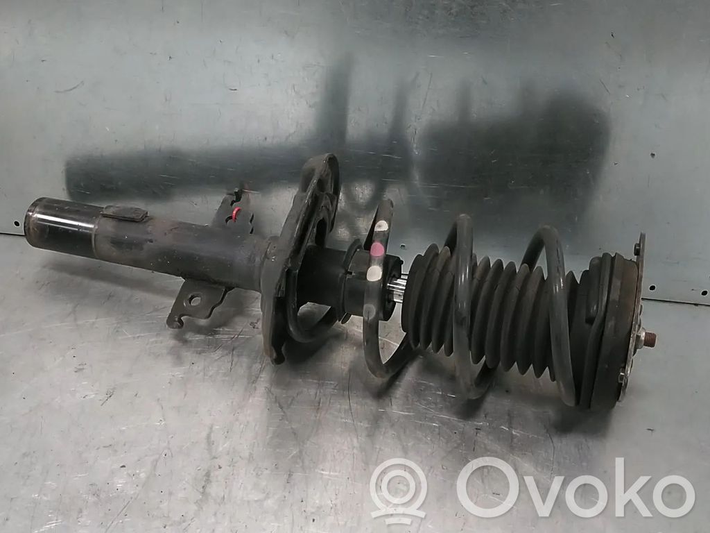 Stoßdämpfer vorne   543025368R